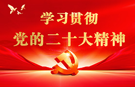 专题首页