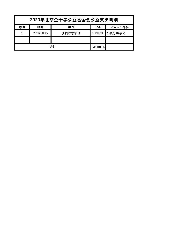 2020年北京金十字公益基金会公益支出明细.jpg