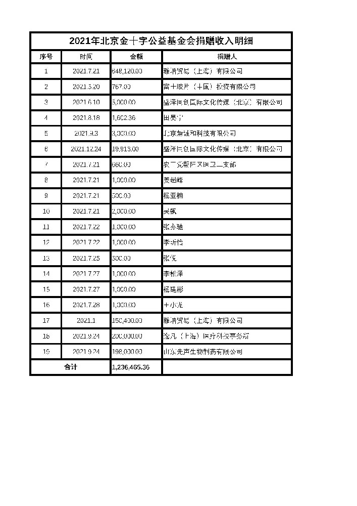 2021年北京金十字公益基金会捐赠收入明细.jpg