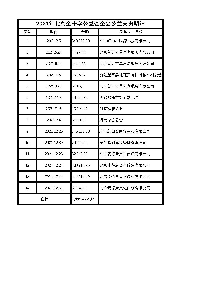 2021年北京金十字公益基金会公益支出明细