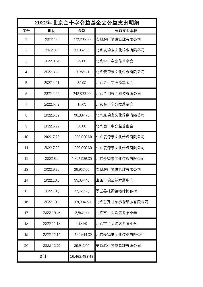 2022年北京金十字公益基金会捐赠支出明细.jpg
